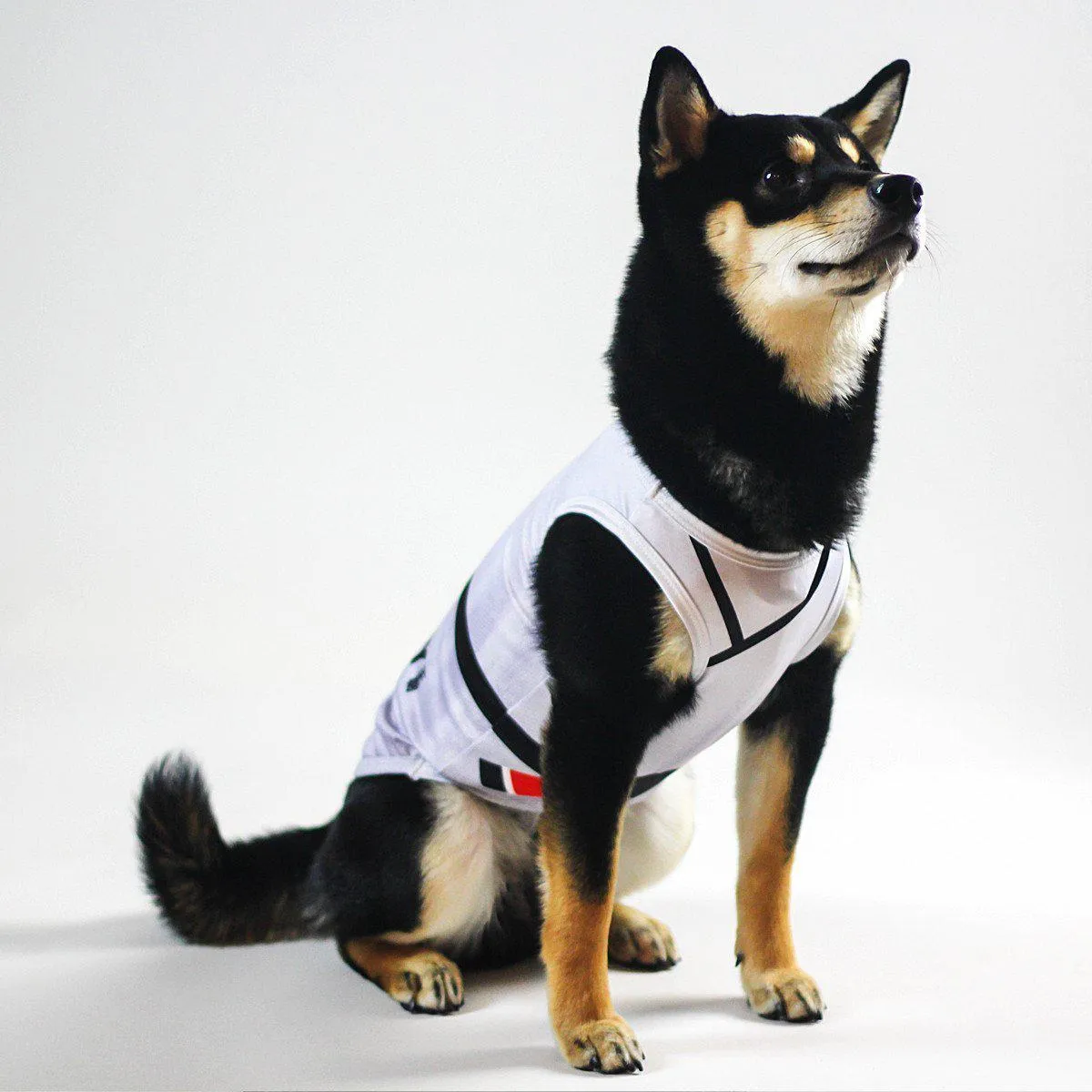 Dog Jitsu Black Belt Shirt