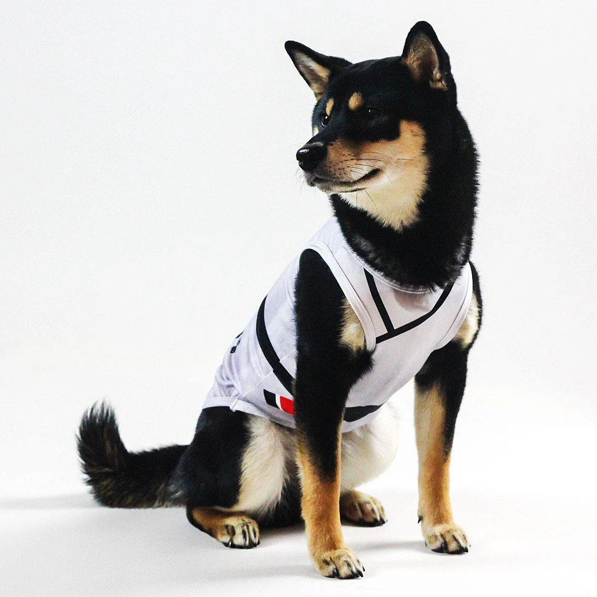 Dog Jitsu Black Belt Shirt