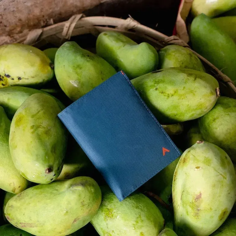 Travel Wallet | Nylon Edition